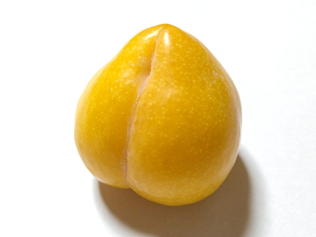 homanyellow_1