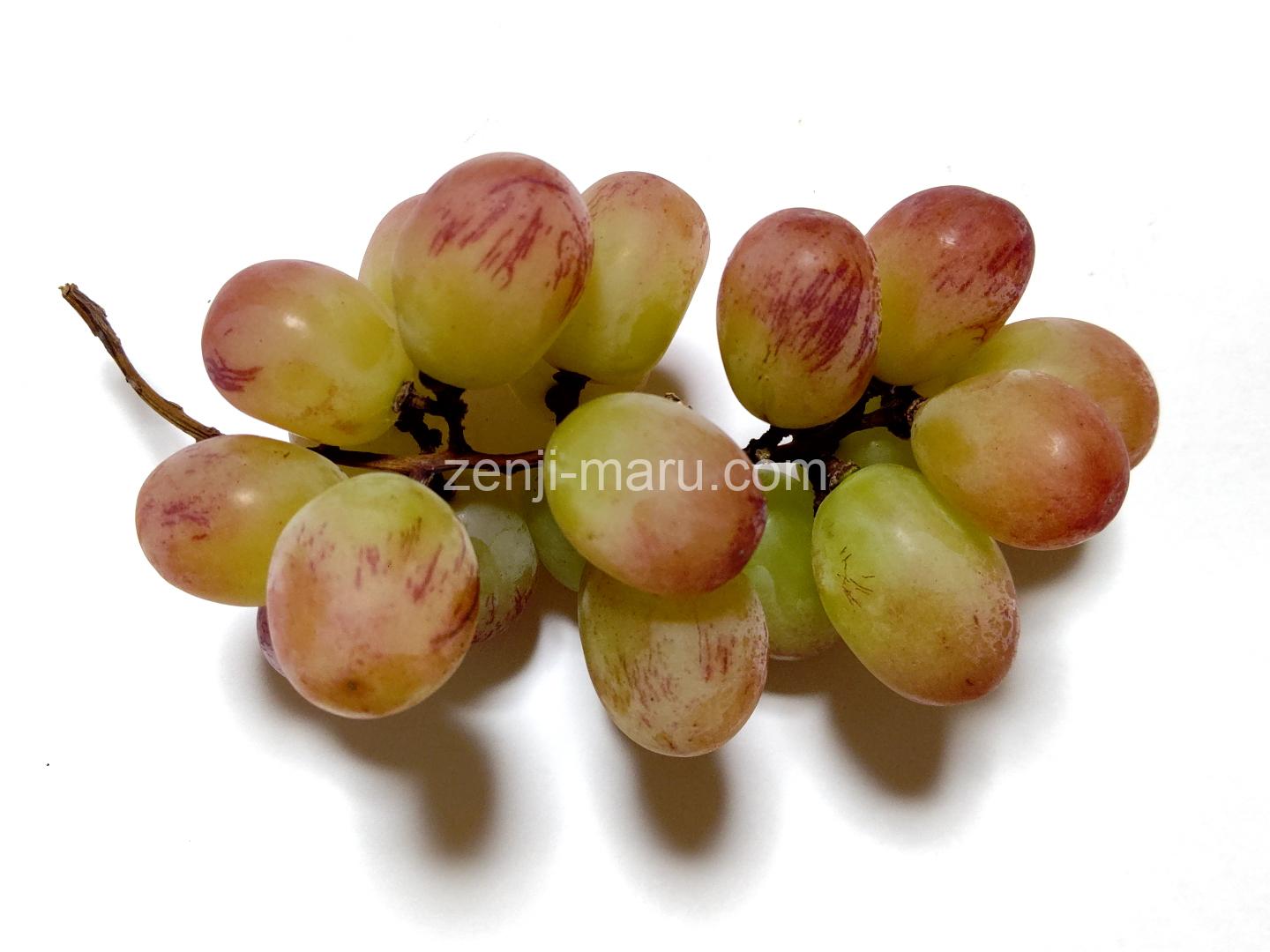 クイーンルージュ The Harvest Home