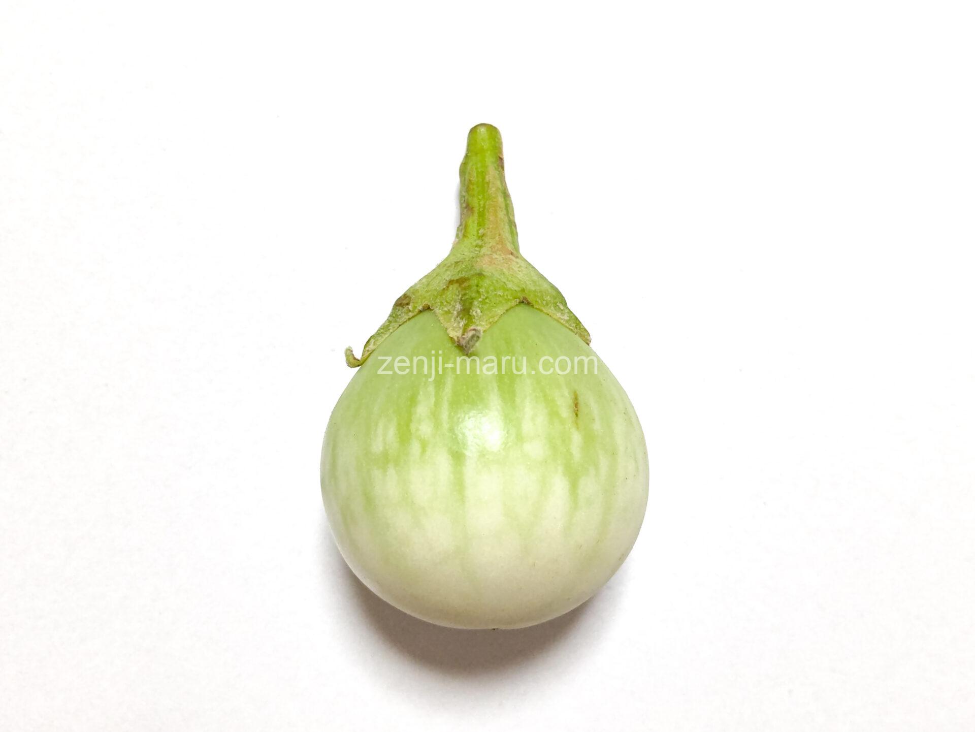 マクアプロ | The Harvest Home