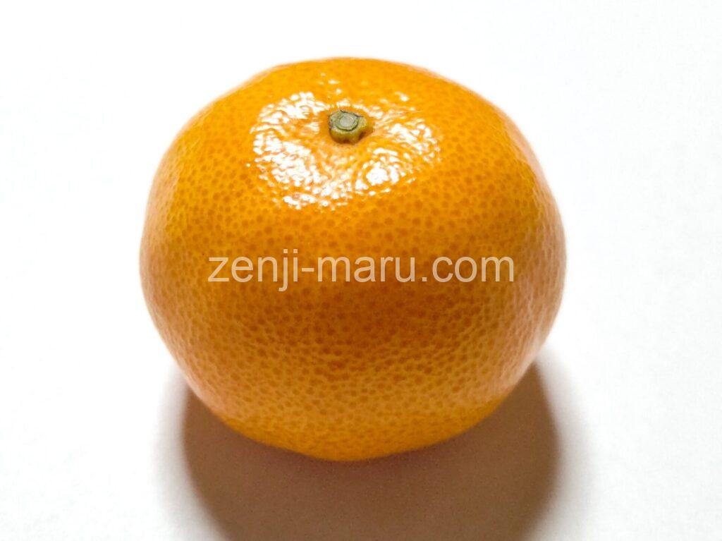 tamami-citrus_1