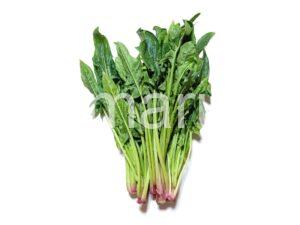 oriental_spinach_1