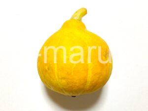 colinky-squash_1_1