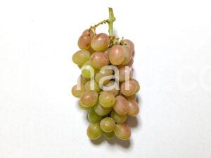 kaiji-grapes_1_1