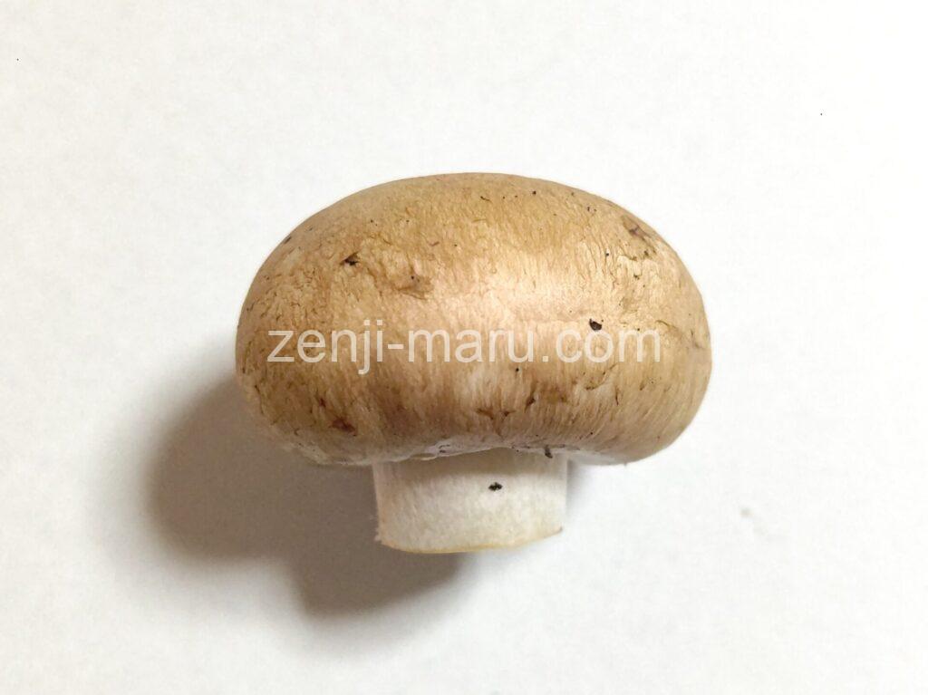 tsukuritake-mushroom_1_1