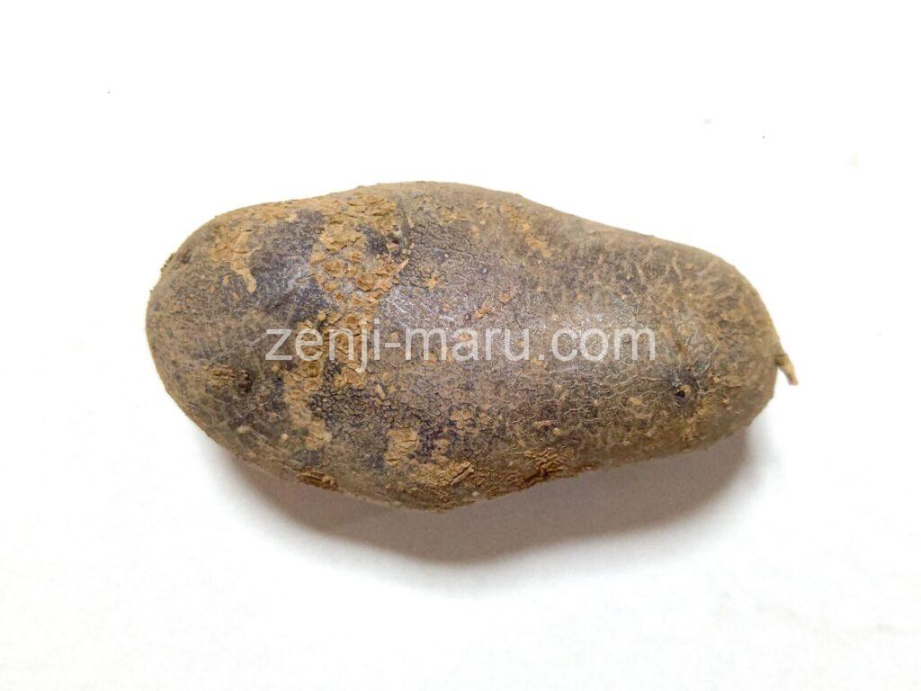 shadow_queen-potato_1_1